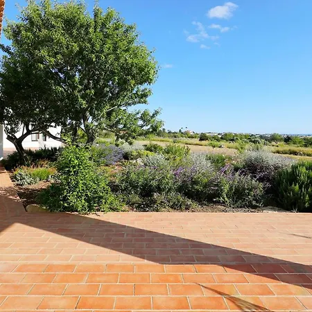 Gale Luxury In Algarve With Pool And Views 别墅 *